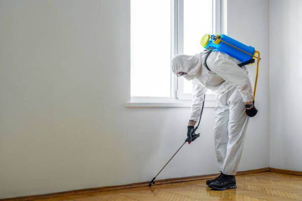 Best Commercial Pest Control  in Crockett, CA